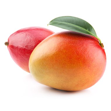 Mango meyve