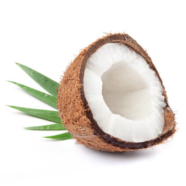 Coconut clipart