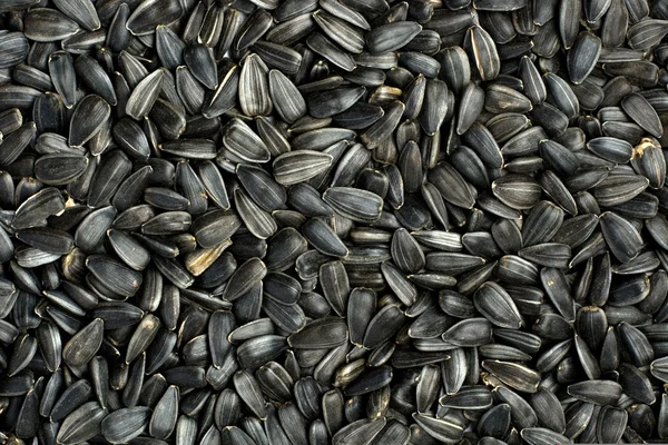 Чорні насіння — стокове фото