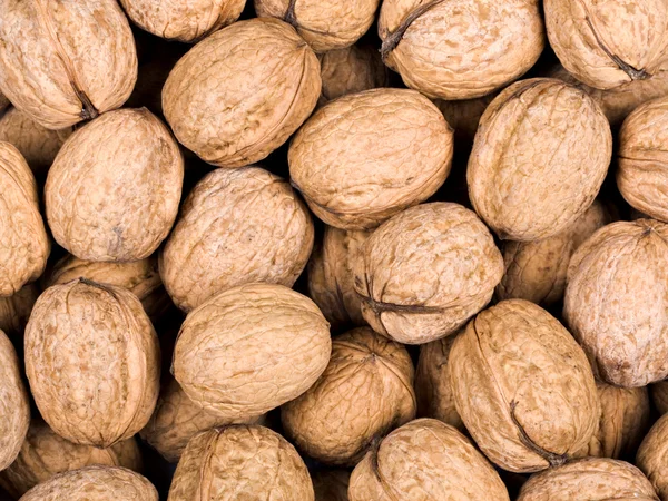 stock image Walnut background