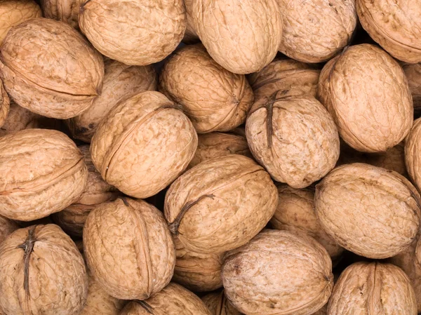 stock image Walnut background