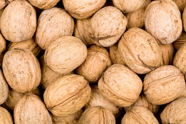 stock image Brown walnuts textured background