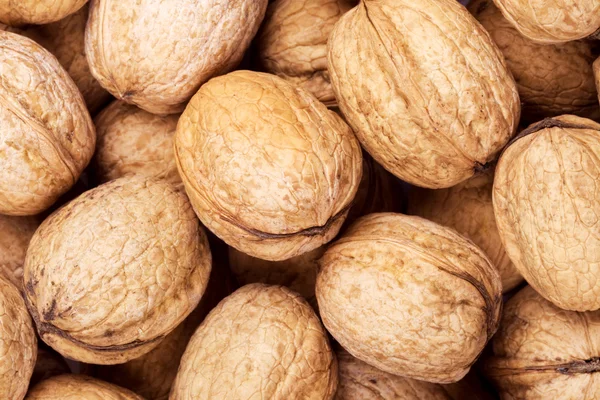 Brown walnuts — Stock Photo, Image