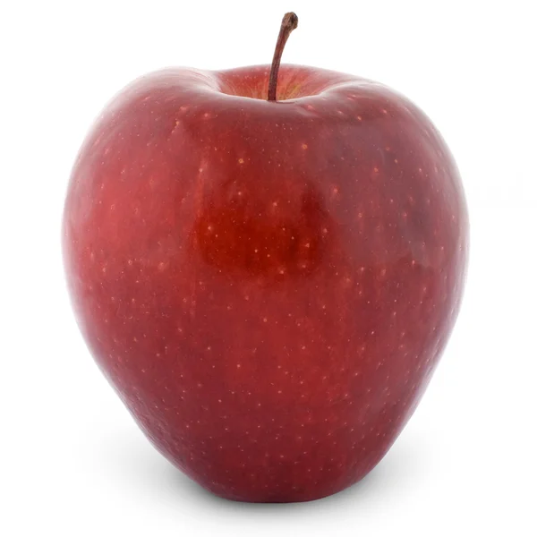 젖은 빨간 사과 — 스톡 사진