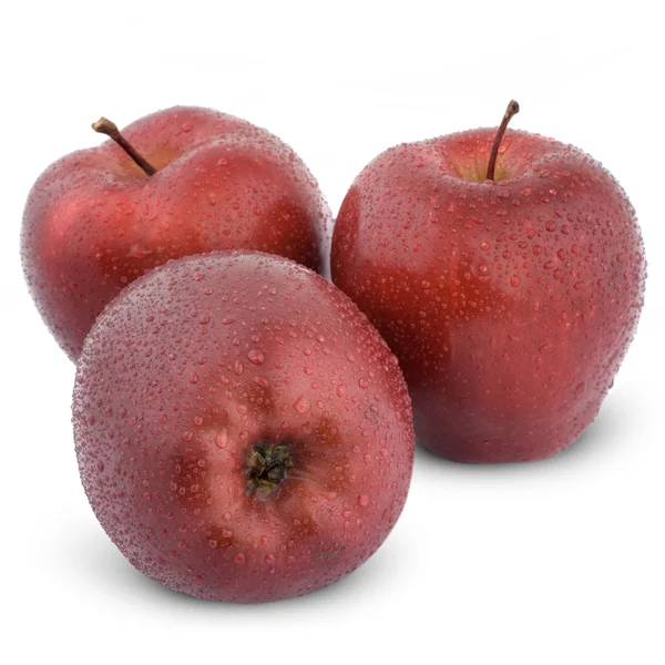 Islak kırmızı elmalar — Stok fotoğraf