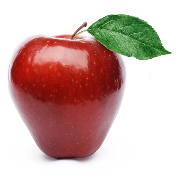 Red apple fruit — Stock Photo, Image