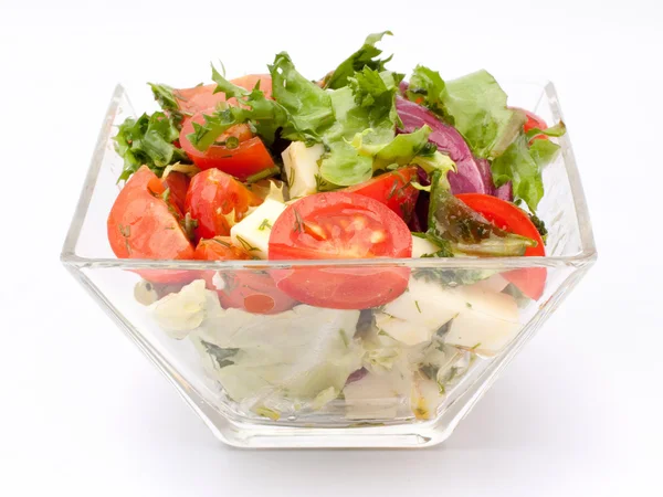 Portre üzerinde taze salata kasesi — Stok fotoğraf