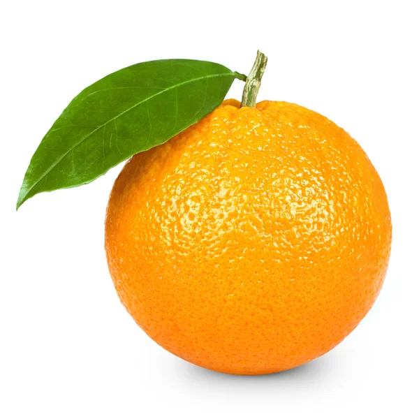 Плоды апельсинов — стоковое фото