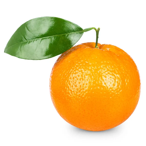 Плоды апельсинов — стоковое фото