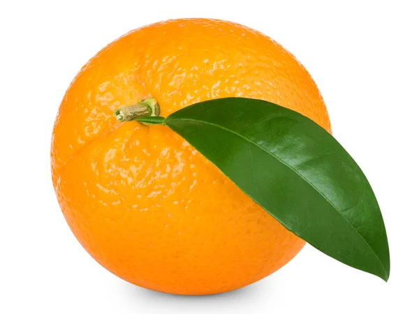 Πορτοκάλια φρούτων — Φωτογραφία Αρχείου