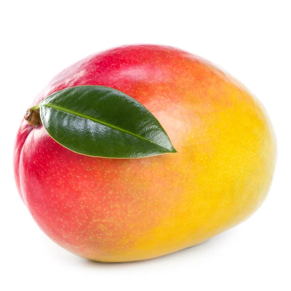 Fruta de mango — Foto de Stock
