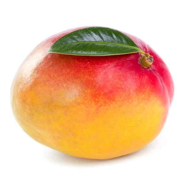 Φρούτα μάνγκο — Φωτογραφία Αρχείου