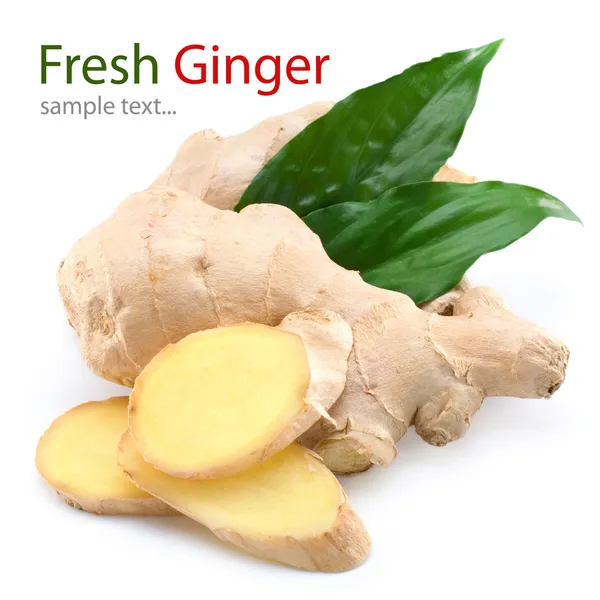 Ginger — Stock Photo, Image