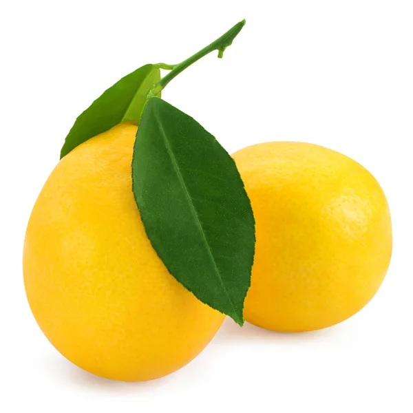 新鲜柠檬柑橘 — 图库照片