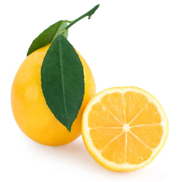 Citrinos de limão frescos — Fotografia de Stock