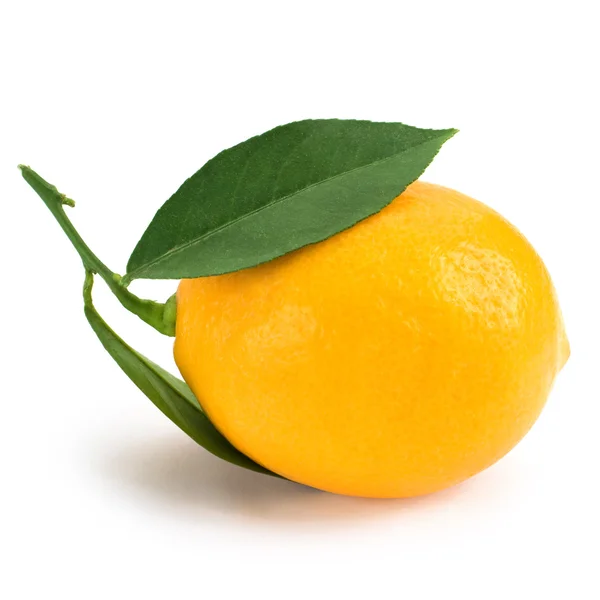 stock image Fresh lemon