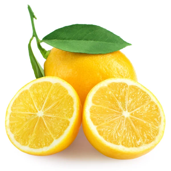 Свежий лимон цитрусовый — стоковое фото