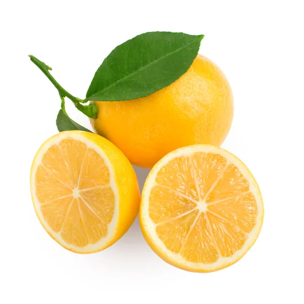 Verse citroencitrusvruchten — Stockfoto