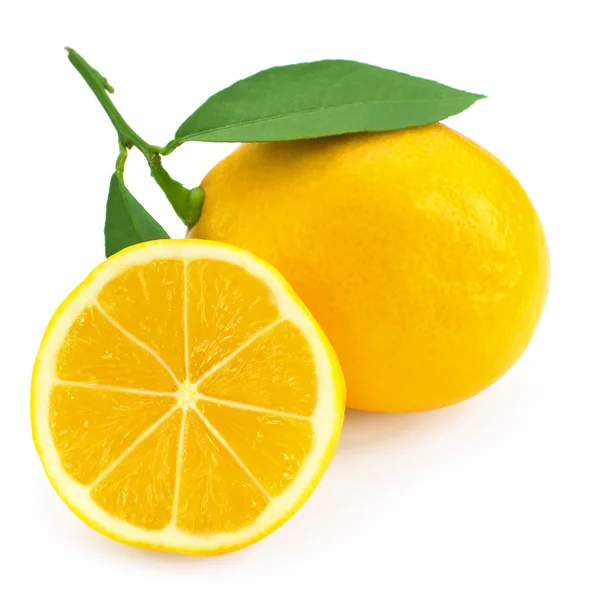 新鲜柠檬柑橘 — 图库照片