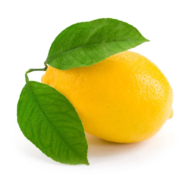 stock image Fresh lemon citrus