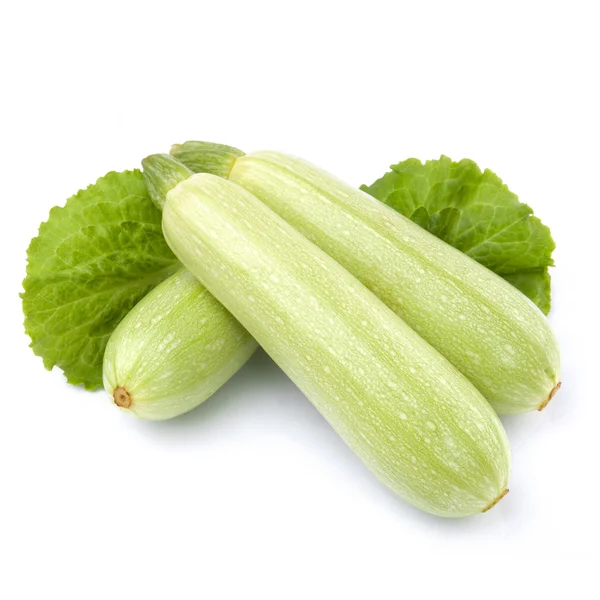 Fresh vegetable marrow. Isolated on white — Stock Photo, Image