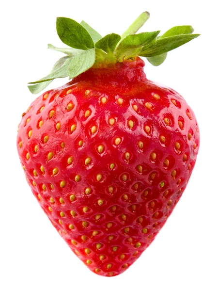 Frische rote Erdbeere — Stockfoto