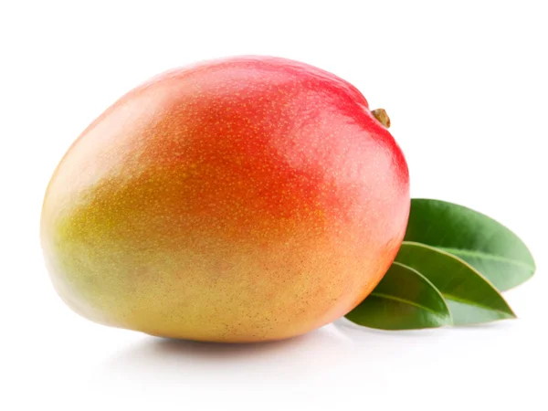 Mango meyve — Stok fotoğraf