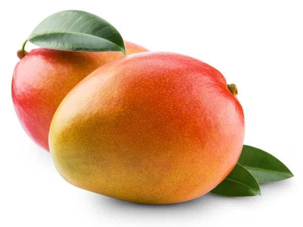 Mangofrucht — Stockfoto