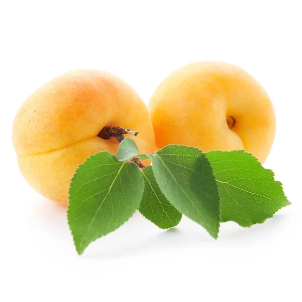 Frutti di albicocca — Foto Stock