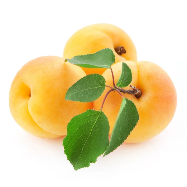 Frutti di albicocca — Foto Stock