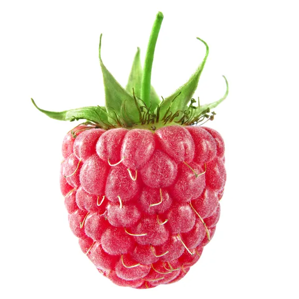 One raspberries — Stock Photo, Image