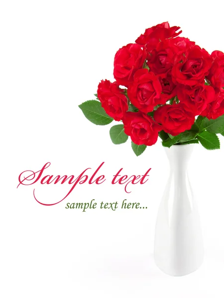 美丽的花朵白色的花瓶中的玫瑰 — 图库照片