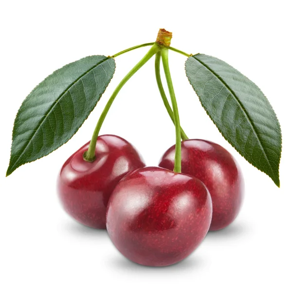 stock image Ripe cherry