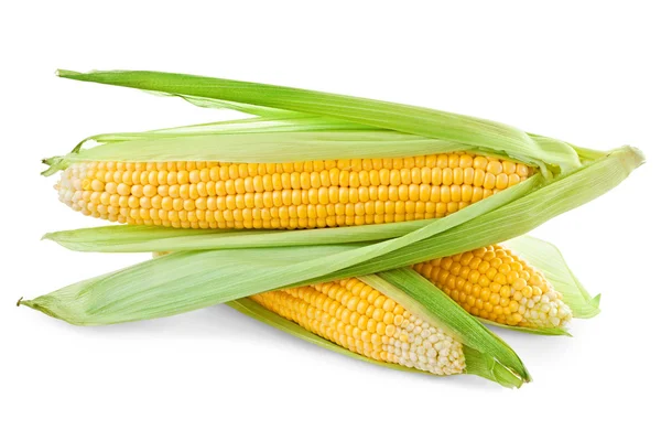 Вухо кукурудзи — стокове фото