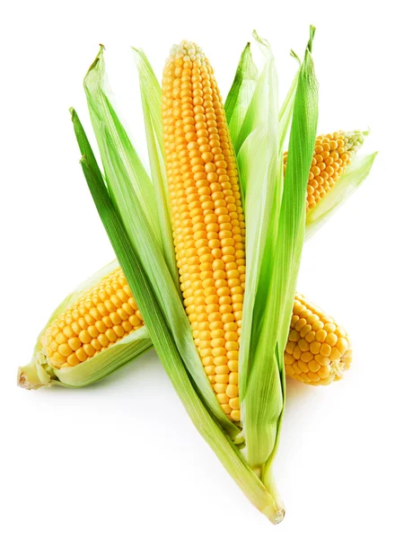 Una mazorca de maíz —  Fotos de Stock