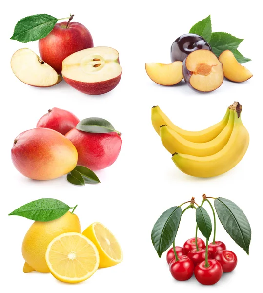 Fruktsamling – stockfoto