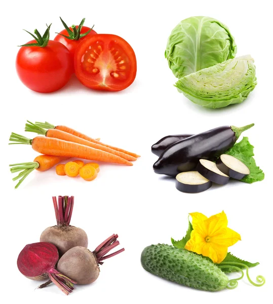 Сбор овощей — стоковое фото