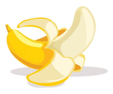 Banana vector illustration clipart