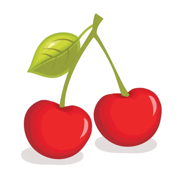 Cherry vectorillustratie — Stockvector