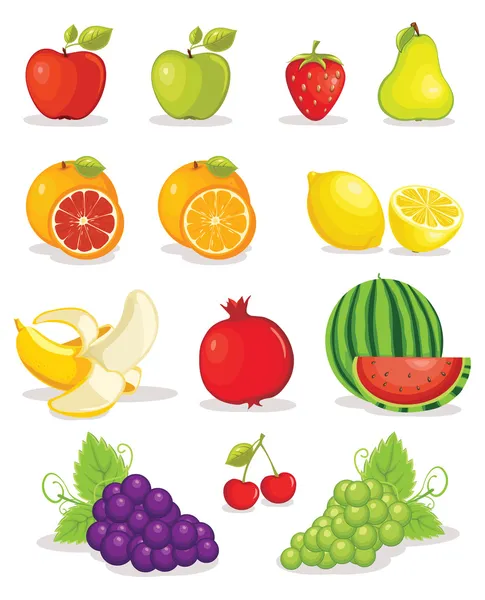 Fruits vector illustration — Stock Vector