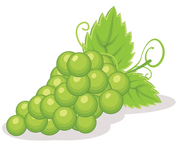 Illustration vectorielle des raisins — Image vectorielle