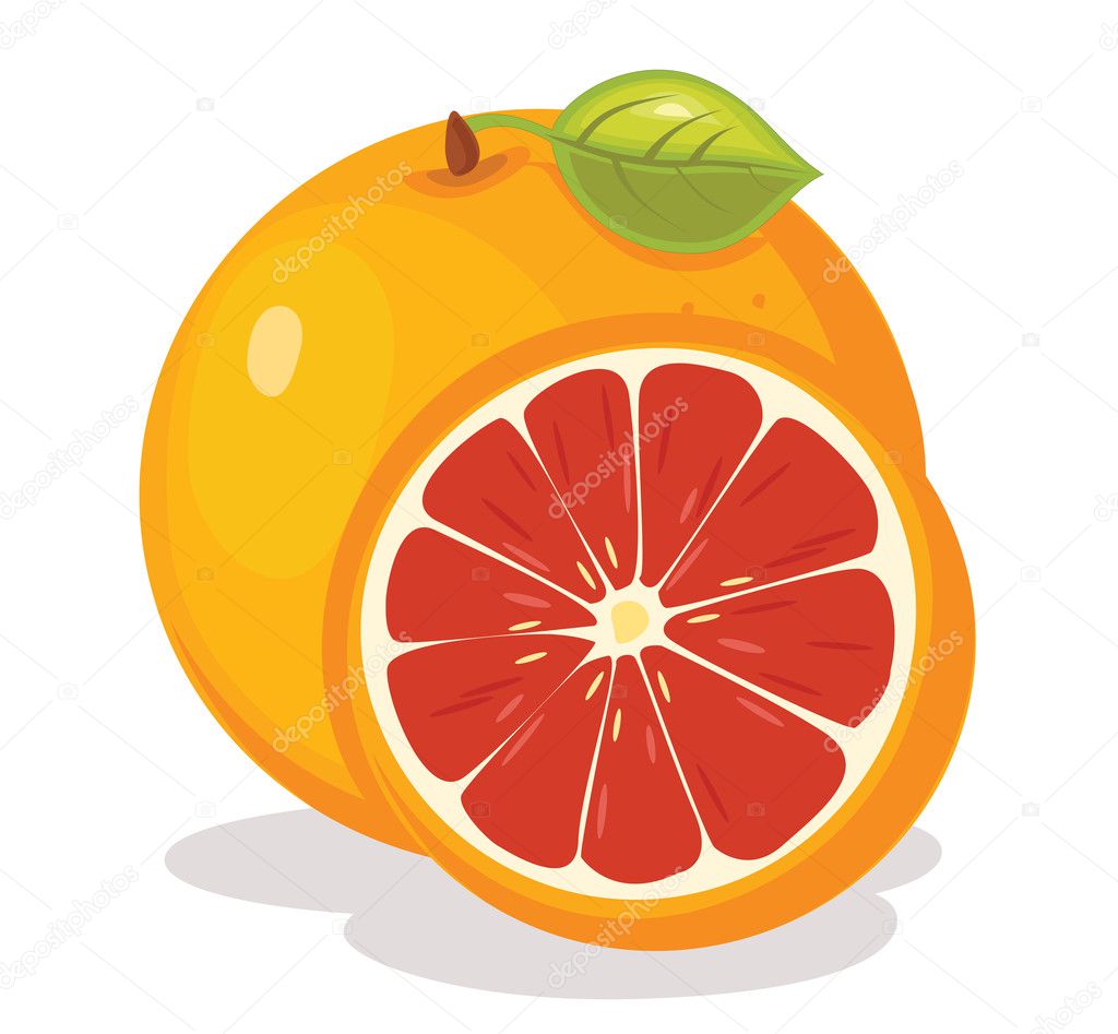 Grape fruit vector illustration — Stock Vector © yusufdemirci #11263817