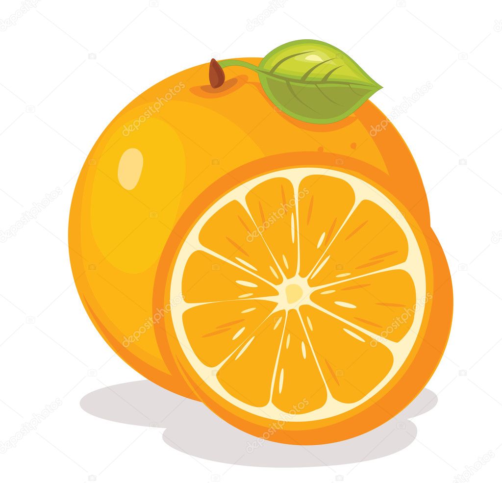 Orange vector illustration — Stock Vector © yusufdemirci #11263908