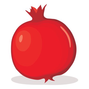 Pomegranate vector illustration clipart