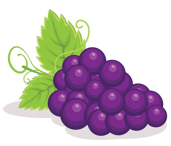 Illustration vectorielle des raisins rouges — Image vectorielle