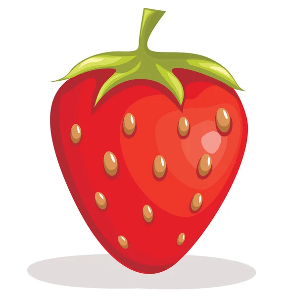 Jordgubb frukt vektor illustration — Stock vektor