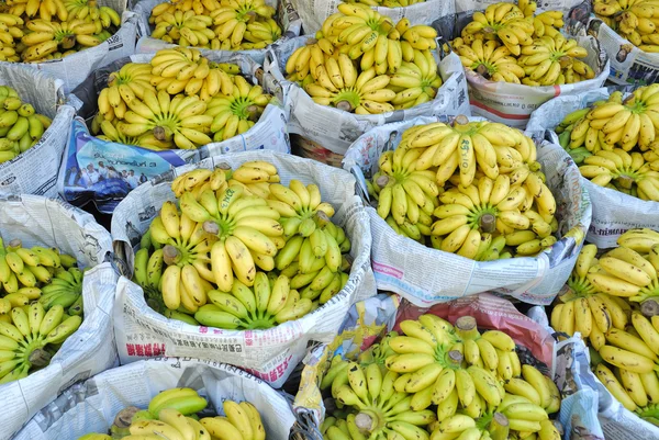 Small yellow bananas at Thai market