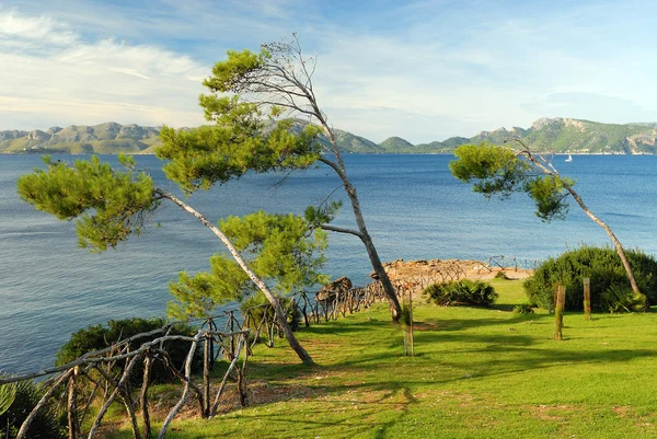 alcudia yakınındaki pollenca Körfezi