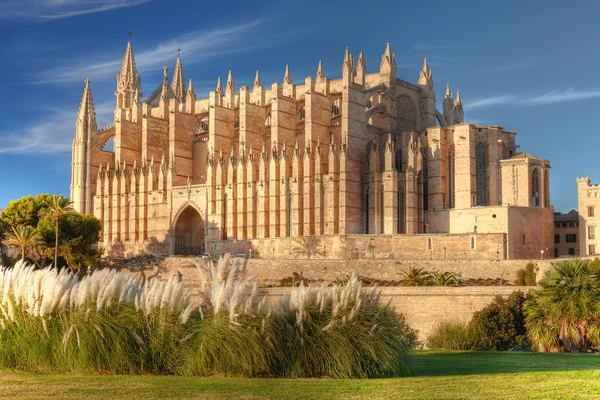 Kathedraal van palma de Mallorca Rechtenvrije Stockafbeeldingen