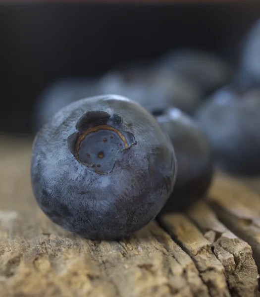 stock image Blueberries